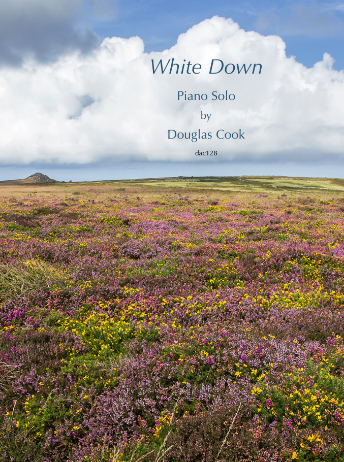 Front cover of Piano Solo White Down